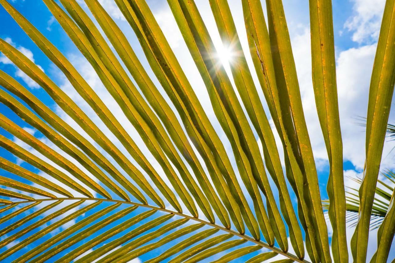 Beaches Bonaire كراليندايك المظهر الخارجي الصورة